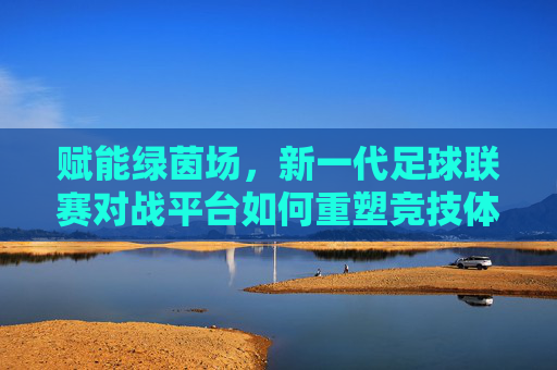 赋能绿茵场，新一代足球联赛对战平台如何重塑竞技体验