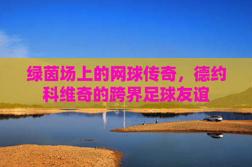 绿茵场上的网球传奇，德约科维奇的跨界足球友谊