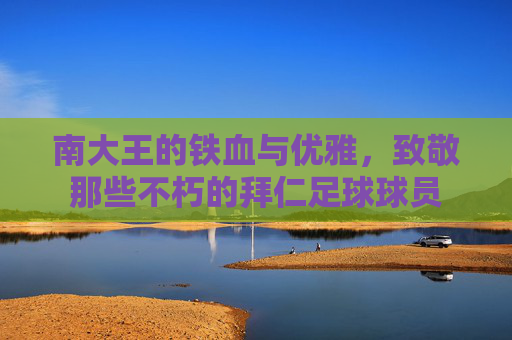 南大王的铁血与优雅，致敬那些不朽的拜仁足球球员