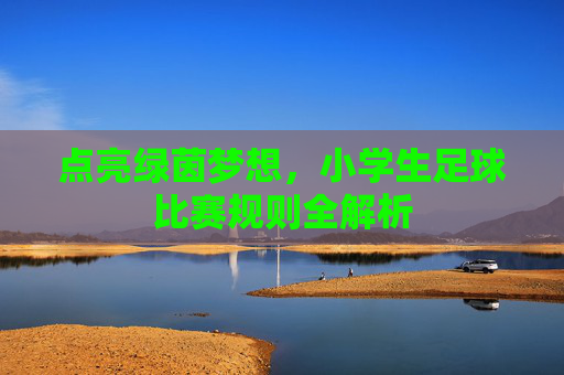 点亮绿茵梦想，小学生足球比赛规则全解析