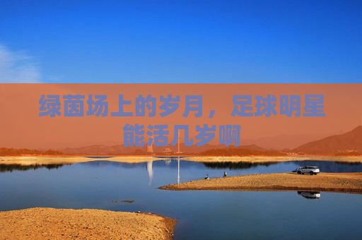 绿茵场上的岁月，足球明星能活几岁啊