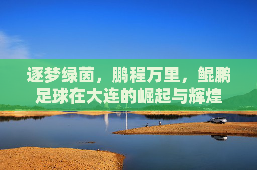 逐梦绿茵，鹏程万里，鲲鹏足球在大连的崛起与辉煌