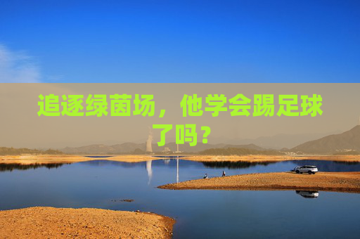 追逐绿茵场，他学会踢足球了吗？
