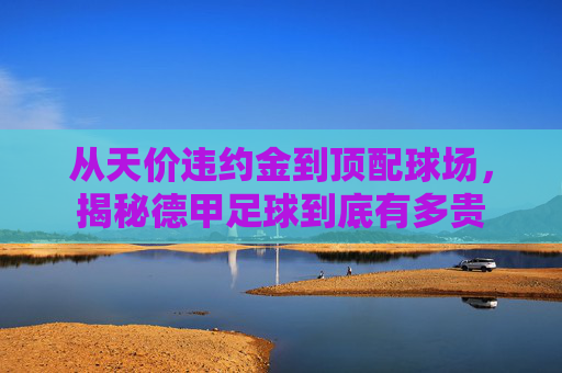 从天价违约金到顶配球场，揭秘德甲足球到底有多贵