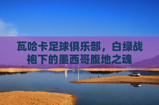 瓦哈卡足球俱乐部，白绿战袍下的墨西哥腹地之魂