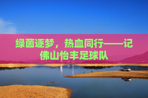 绿茵逐梦，热血同行——记佛山怡丰足球队