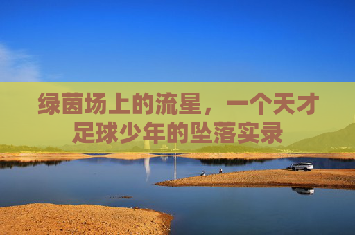 绿茵场上的流星，一个天才足球少年的坠落实录