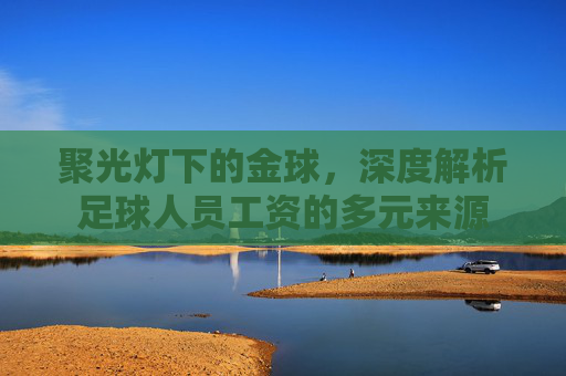 聚光灯下的金球，深度解析足球人员工资的多元来源