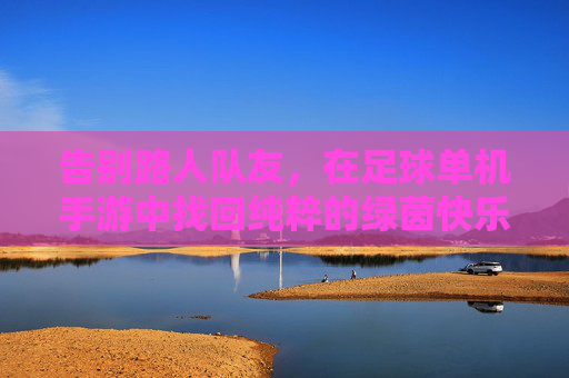 告别路人队友,在足球单机手游中找回纯粹的绿茵快乐