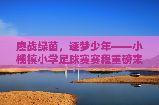 鏖战绿茵,逐梦少年——小榄镇小学足球赛赛程重磅来袭!