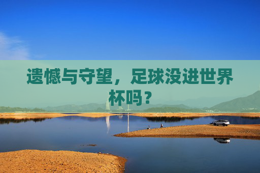 遗憾与守望，足球没进世界杯吗？