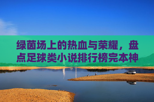绿茵场上的热血与荣耀,盘点足球类小说排行榜完本神作