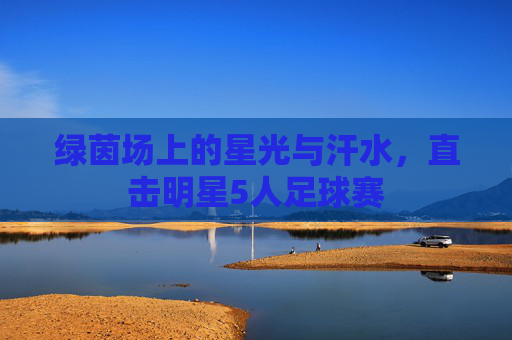 绿茵场上的星光与汗水，直击明星5人足球赛