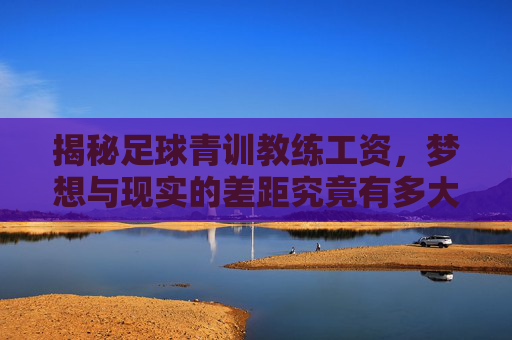 揭秘足球青训教练工资，梦想与现实的差距究竟有多大？
