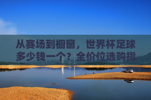 从赛场到橱窗，世界杯足球多少钱一个？全价位选购指南