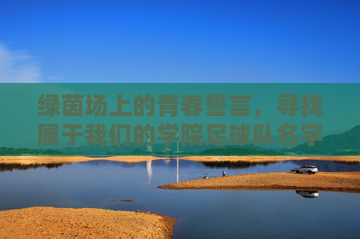 绿茵场上的青春誓言，寻找属于我们的学院足球队名字