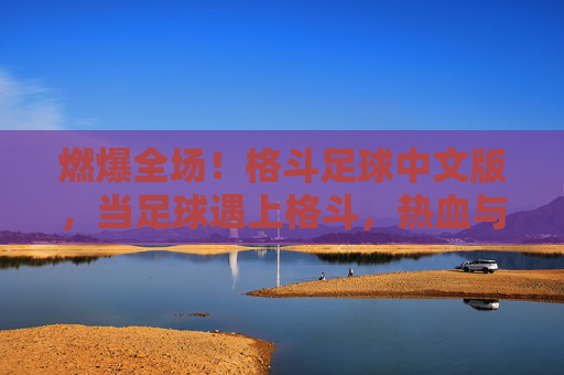 燃爆全场！格斗足球中文版，当足球遇上格斗，热血与激情的完美碰撞