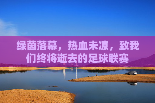 绿茵落幕,热血未凉,致我们终将逝去的足球联赛