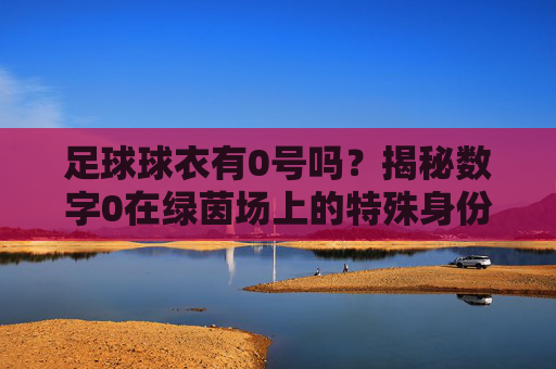 足球球衣有0号吗？揭秘数字0在绿茵场上的特殊身份