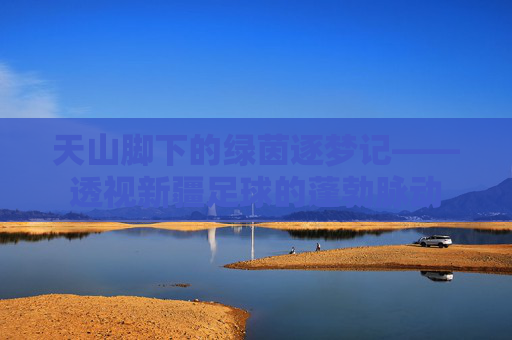 天山脚下的绿茵逐梦记——透视新疆足球的蓬勃脉动