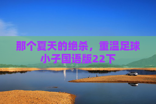 那个夏天的绝杀，重温足球小子国语版22下