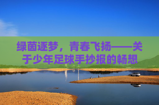 绿茵逐梦，青春飞扬——关于少年足球手抄报的畅想