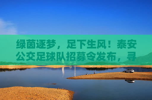 绿茵逐梦，足下生风！泰安公交足球队招募令发布，寻找热血的你！