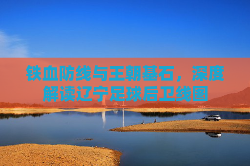 铁血防线与王朝基石,深度解读辽宁足球后卫线图