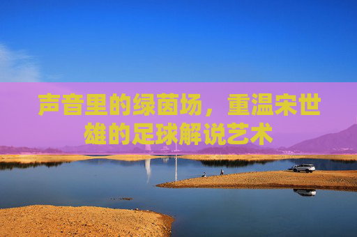 声音里的绿茵场，重温宋世雄的足球解说艺术
