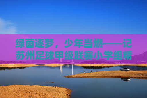 绿茵逐梦，少年当燃——记苏州足球甲级联赛小学组精彩瞬间