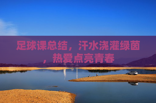 足球课总结，汗水浇灌绿茵，热爱点亮青春