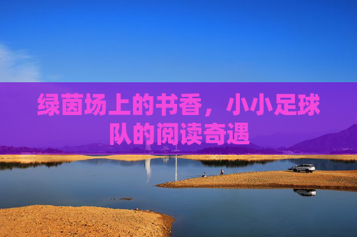 绿茵场上的书香，小小足球队的阅读奇遇