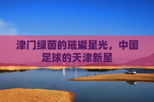 津门绿茵的璀璨星光,中国足球的天津新星