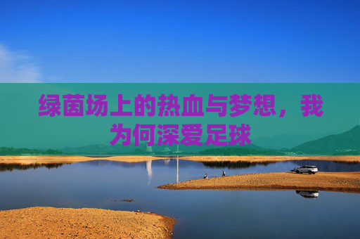 绿茵场上的热血与梦想，我为何深爱足球