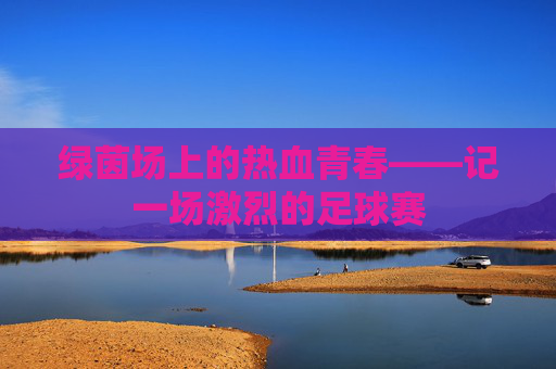 绿茵场上的热血青春——记一场激烈的足球赛