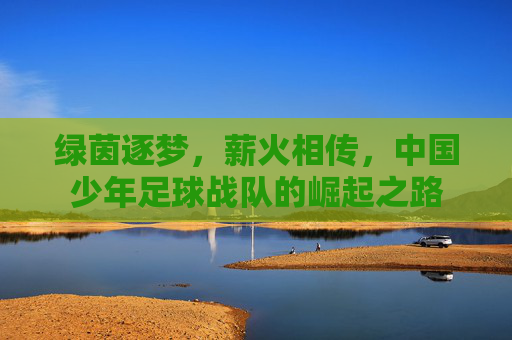 绿茵逐梦，薪火相传，中国少年足球战队的崛起之路