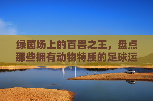 绿茵场上的百兽之王，盘点那些拥有动物特质的足球运动员