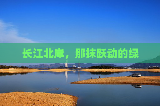 长江北岸，那抹跃动的绿