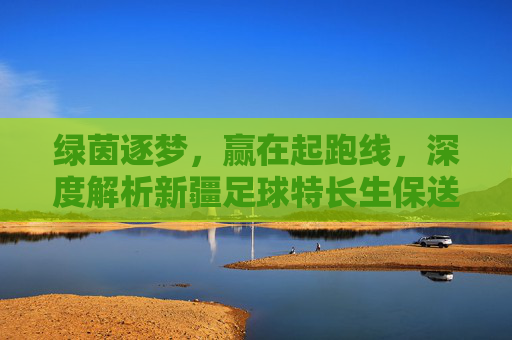 绿茵逐梦，赢在起跑线，深度解析新疆足球特长生保送初中的机遇与路径