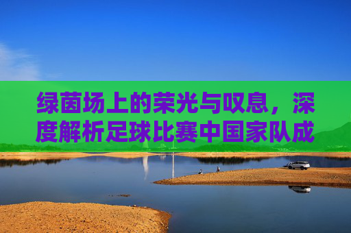 绿茵场上的荣光与叹息,深度解析足球比赛中国家队成绩背后的逻辑