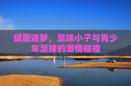 绿茵逐梦，足球小子与青少年足球的激情碰撞