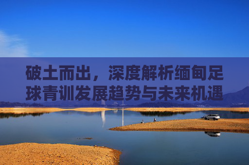 破土而出,深度解析缅甸足球青训发展趋势与未来机遇
