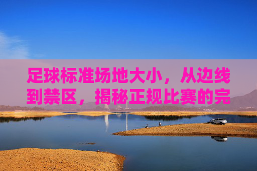 足球标准场地大小,从边线到禁区,揭秘正规比赛的完美蓝图