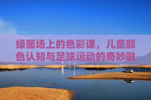 绿茵场上的色彩课,儿童颜色认知与足球运动的奇妙融合