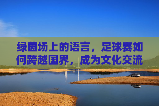 绿茵场上的语言，足球赛如何跨越国界，成为文化交流的桥梁