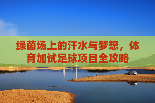绿茵场上的汗水与梦想，体育加试足球项目全攻略