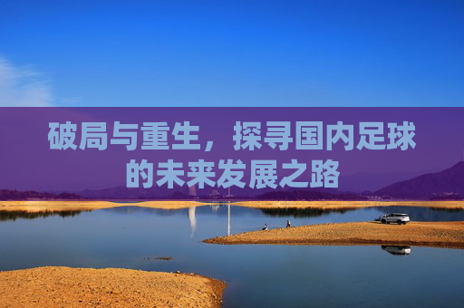 破局与重生，探寻国内足球的未来发展之路