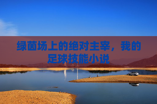 绿茵场上的绝对主宰，我的足球技能小说