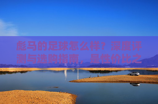 彪马的足球怎么样？深度评测与选购指南，是性价比之选还是被低估的利器？
