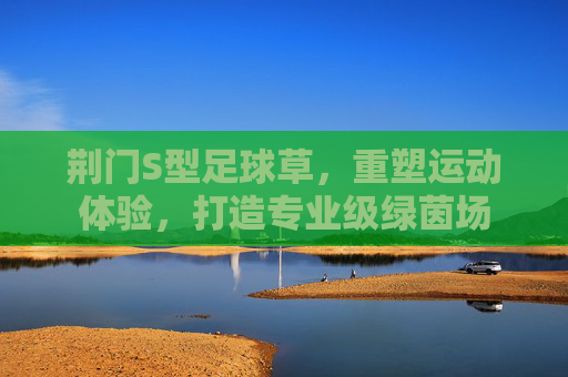 荆门S型足球草,重塑运动体验,打造专业级绿茵场